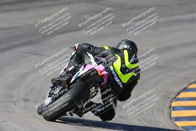 media/Feb-04-2024-SoCal Trackdays (Sun) [[91d6515b1d]]/4-Bowl Backside (11am)/